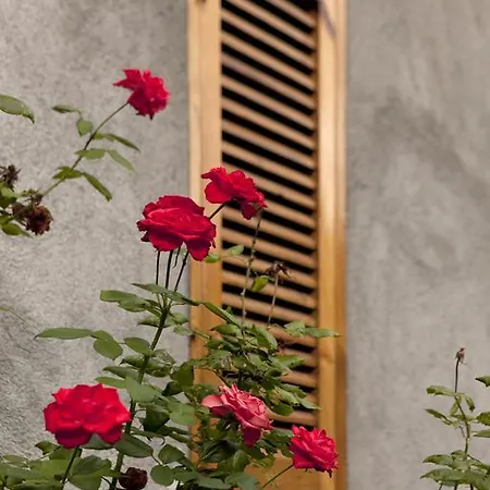 レジデンス ヴィラッジオ ヴェルデ 3*