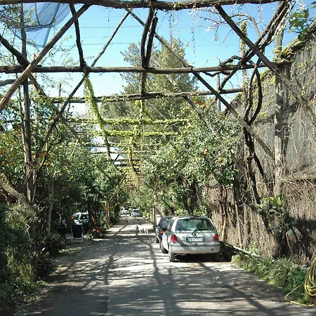 レジデンス ヴィラッジオ ヴェルデ 3*