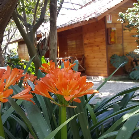 Villaggio 3* Sorrento