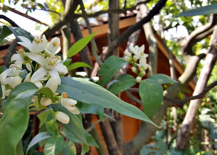 Apartmanhotel Villaggio Sorrento