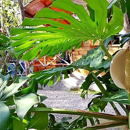Ξενοδοχείο με διαμερίσματα Villaggio Σορέντο