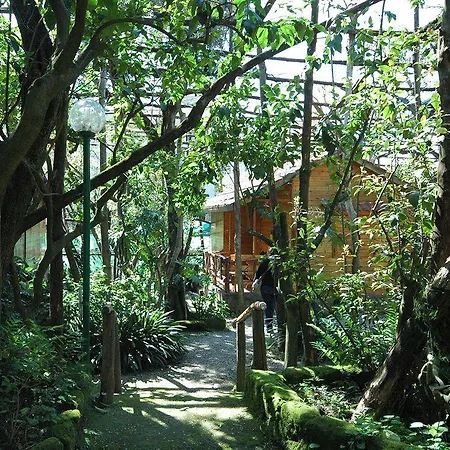 维拉焦佛得住宿酒店 3* 索伦托