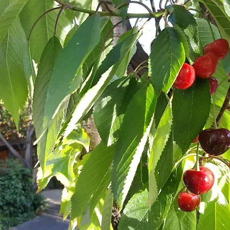 Villaggio Península Sorrentina