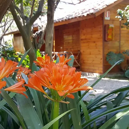 Villaggio Lejlighedshotel Sorrento