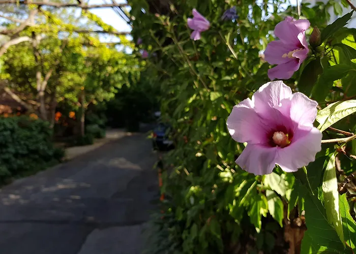 Lejlighedshotel Villaggio 3*