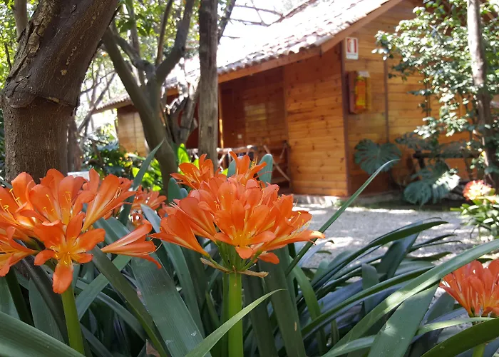 Villaggio 3* Sorrento