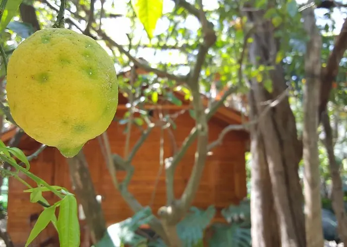 レジデンス ヴィラッジオ ヴェルデ アパートホテル ソレント