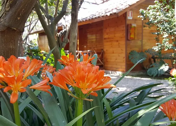 Villaggio Lejlighedshotel Sorrento