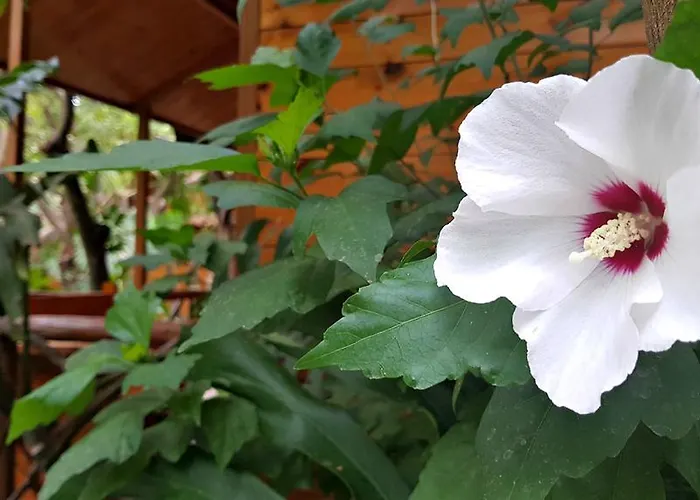 Villaggio 3* Sorrento