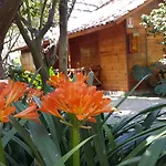 Villaggio 3* Sorrento