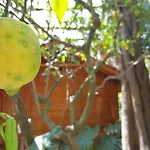 Villaggio Aparthotel Sorrento