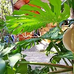 Villaggio Sorrento
