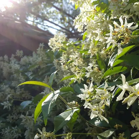 Villaggio Aparthotel