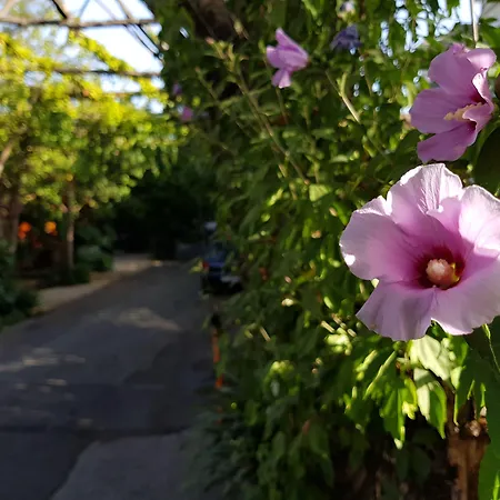 Aparthotel Villaggio 3*