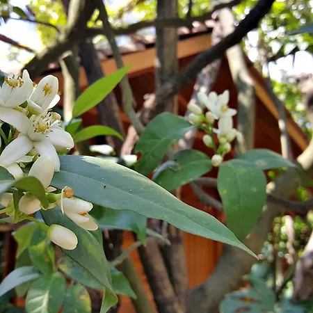 Apartmanhotel Villaggio Sorrento