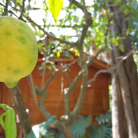 Villaggio Aparthotel Sorrento