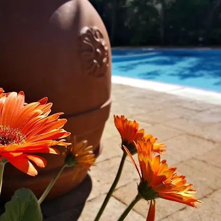 Villaggio 3* Sorrento